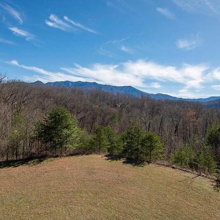 Venus Lodges 146 By Stony Brook Cabins Gatlinburg Εξωτερικό φωτογραφία